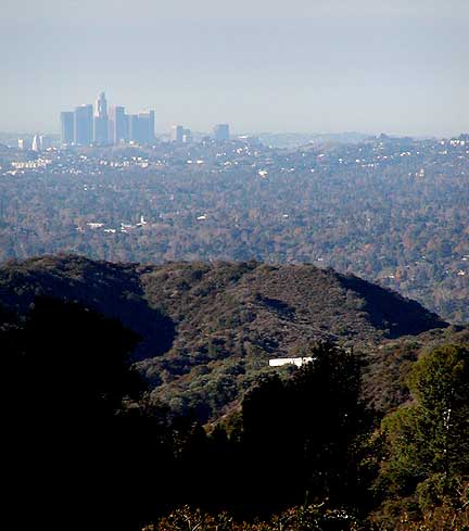 LA Skyline - Jan 11, 2004