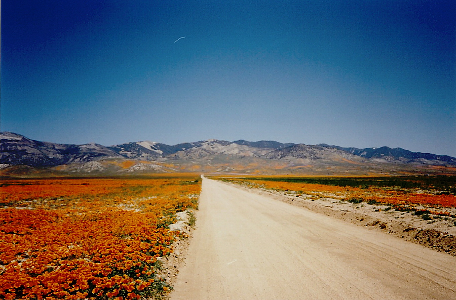 April 28, 1991 - 300th Street