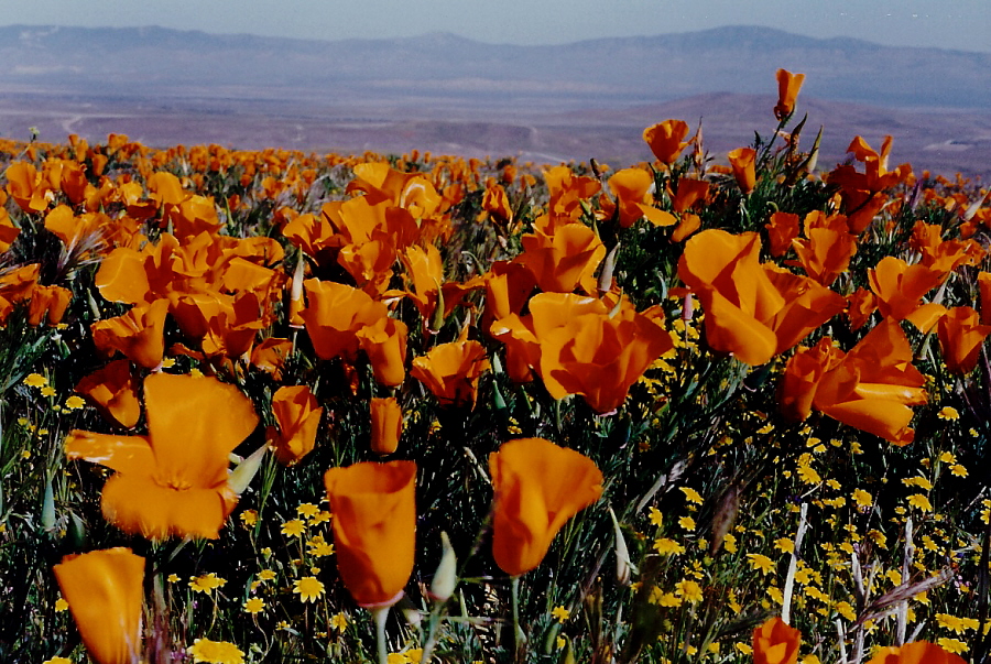April 1993