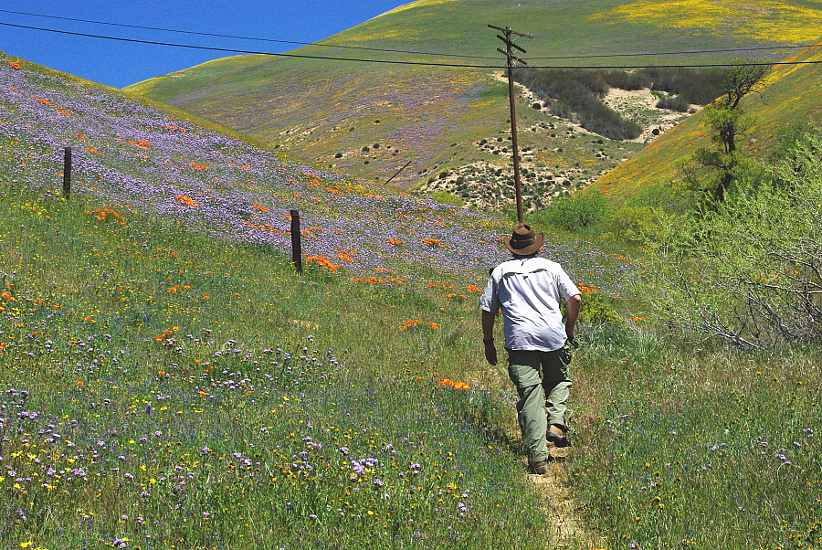 April 19, 2010: Gorman Post Road