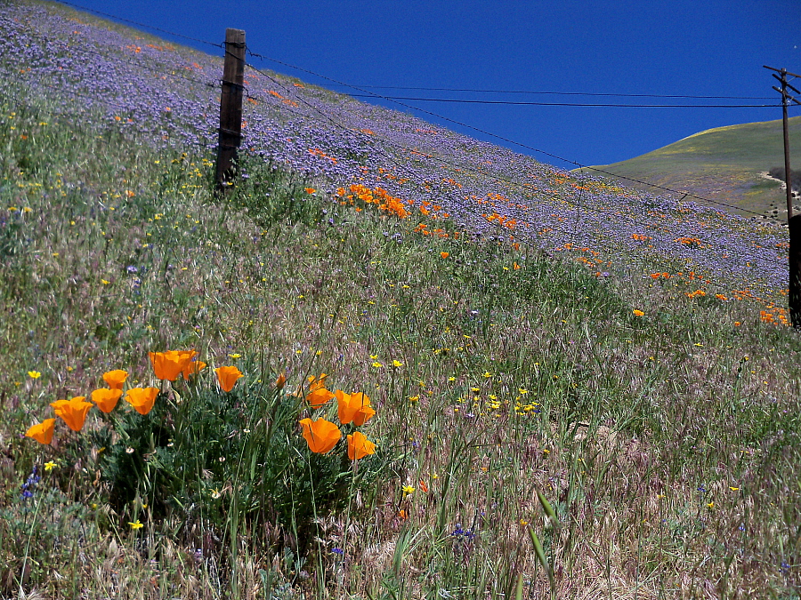 April 19, 2010: Gorman Post Road