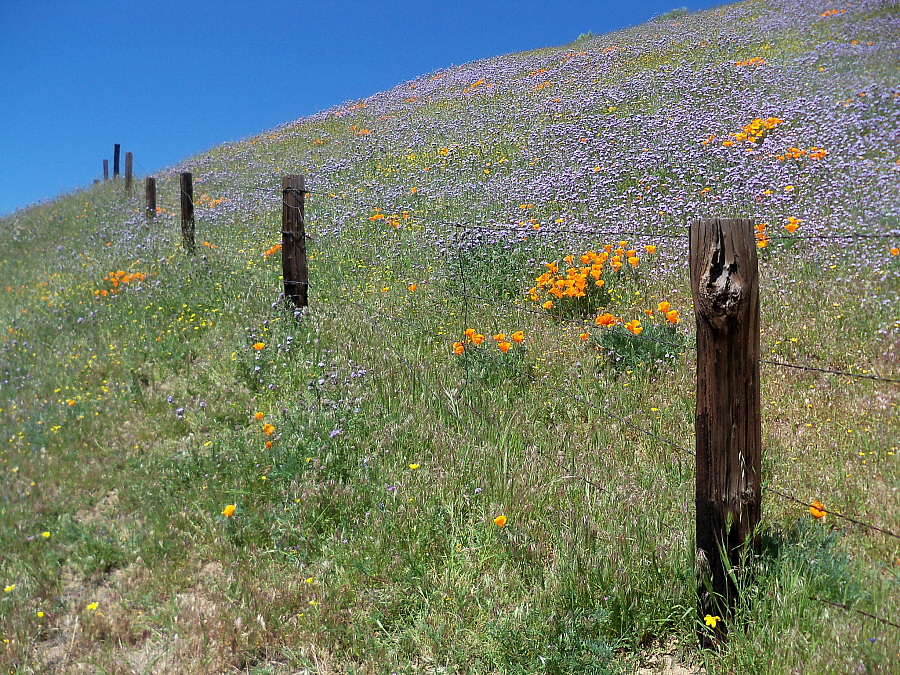 April 19, 2010: Gorman Post Road