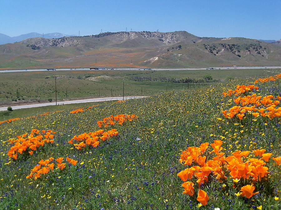 April 19, 2010: Gorman Post Road