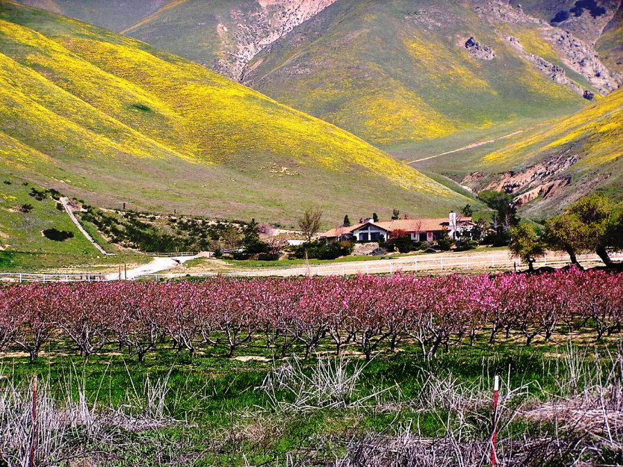 May 2005 - Gorman Ranchouse