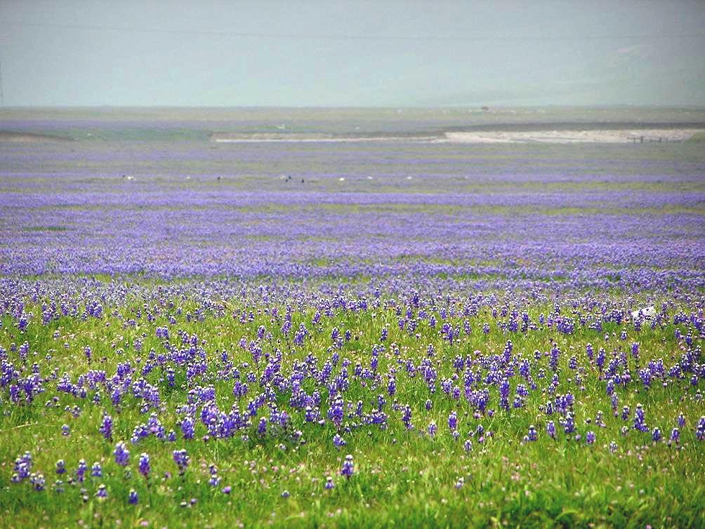 May 2005