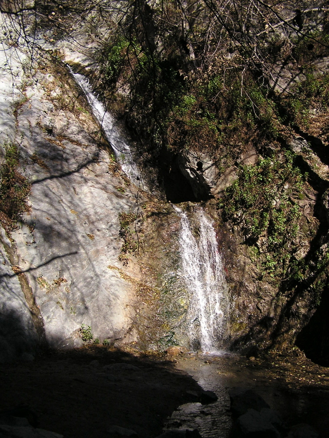 Monrovia Canyon Park Trails