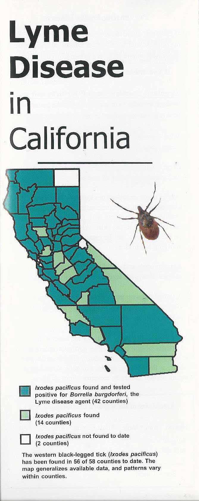 Lyme Disease Brochure
