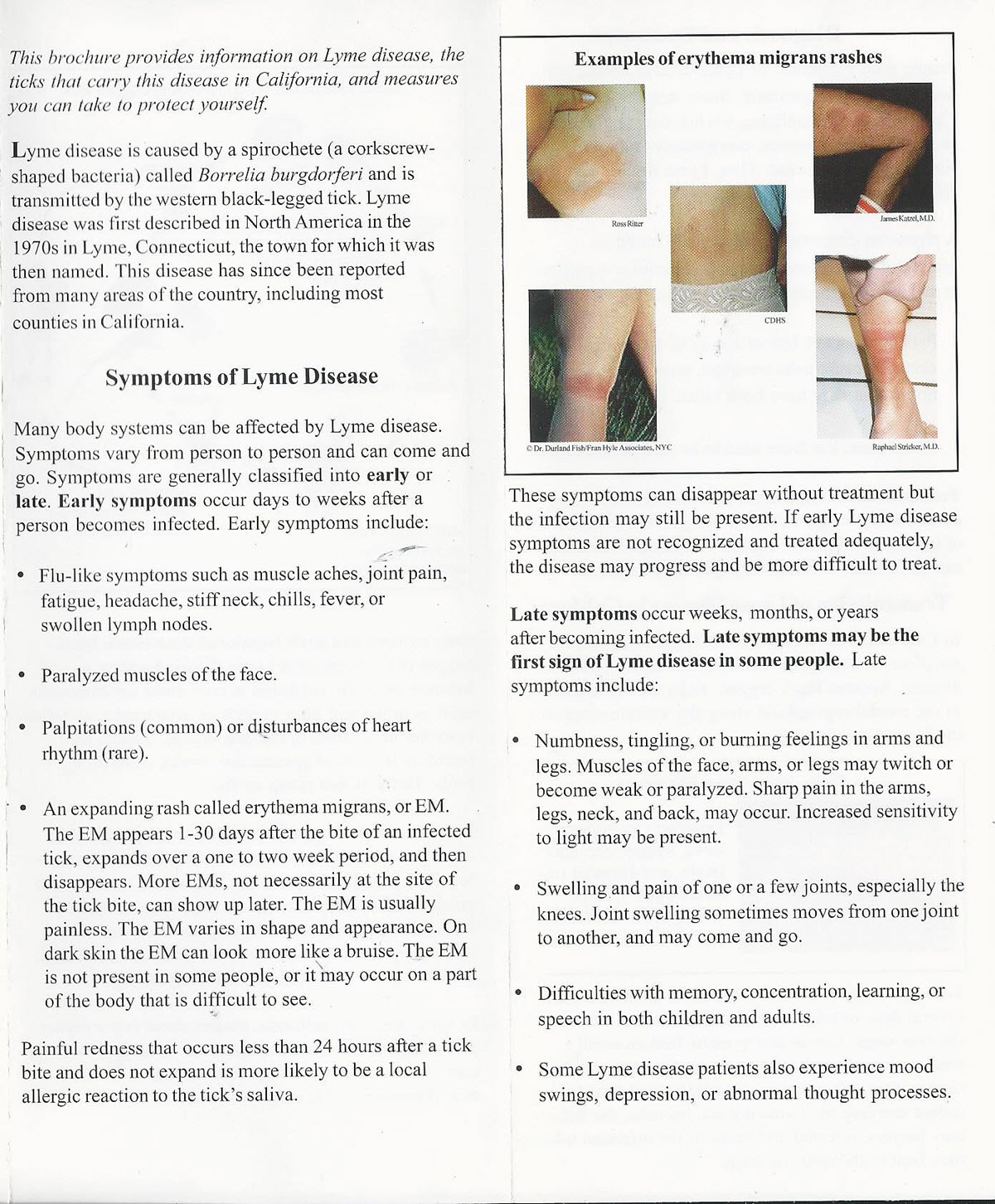 Lyme Disease Brochure