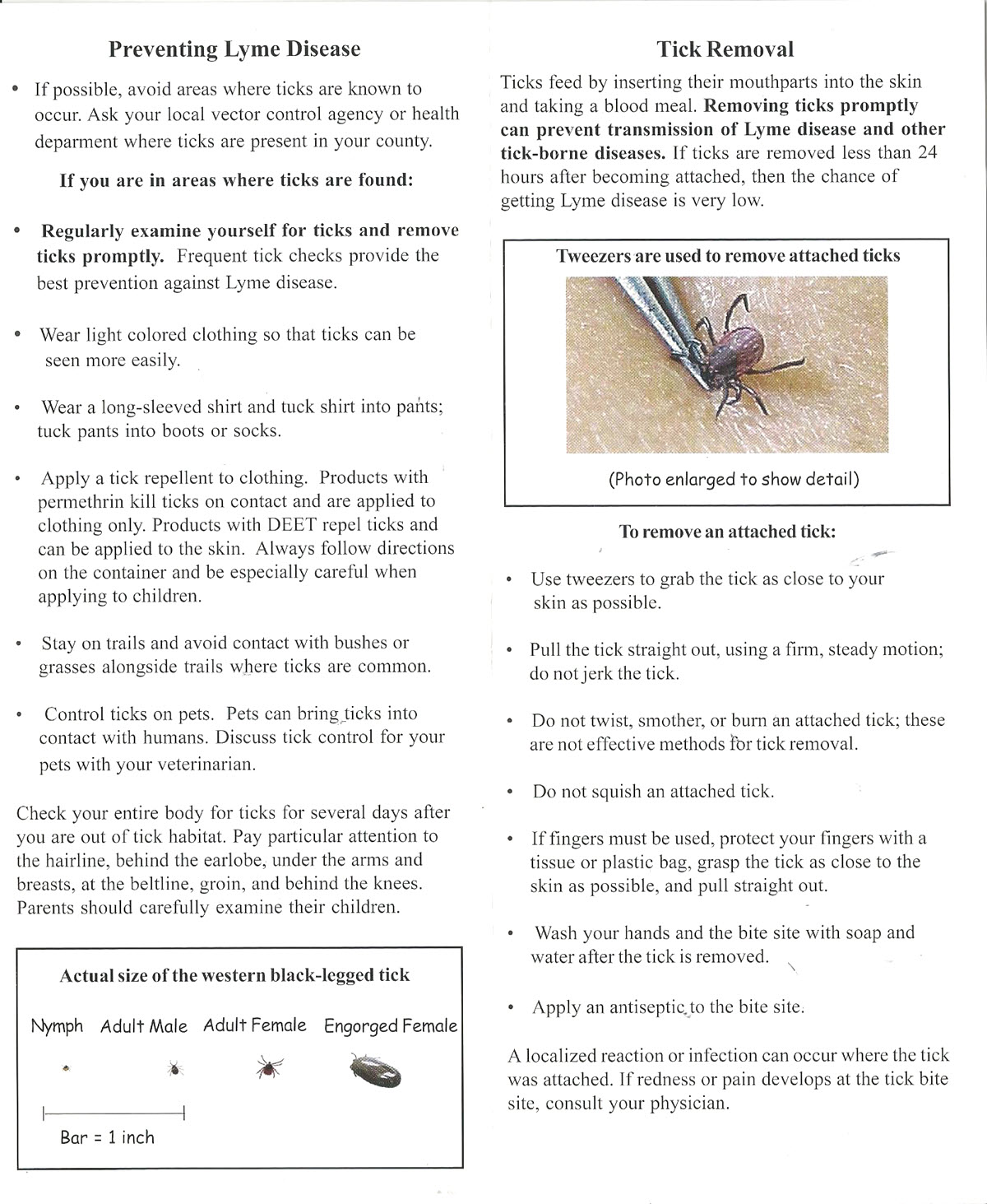 Lyme Disease Brochure